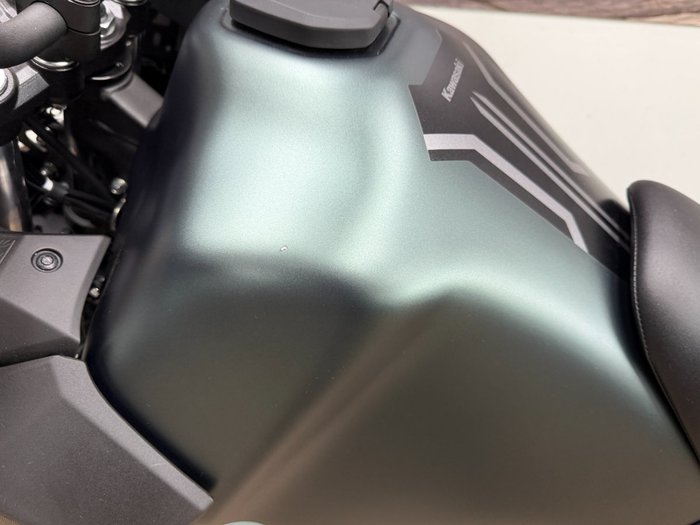 2025 Kawasaki KLR650 (KL650) GREEN