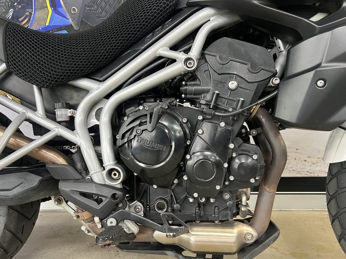 2011 Triumph TIGER 800 WHITE