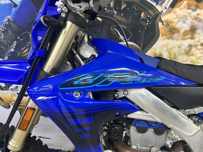 2024 Yamaha WR250F BLUE