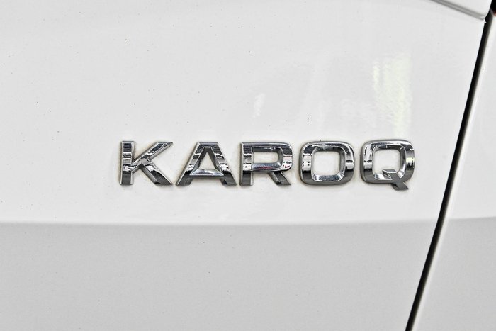 2019 SKODA Karoq 110TSI