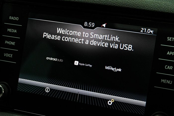 2019 SKODA Karoq 110TSI