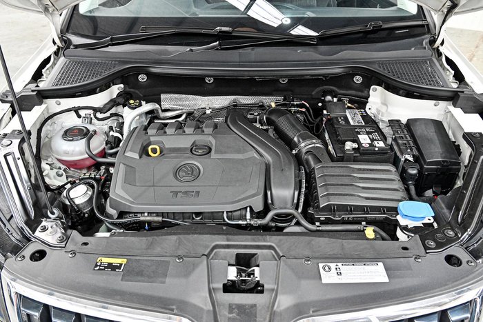 2019 SKODA Karoq 110TSI