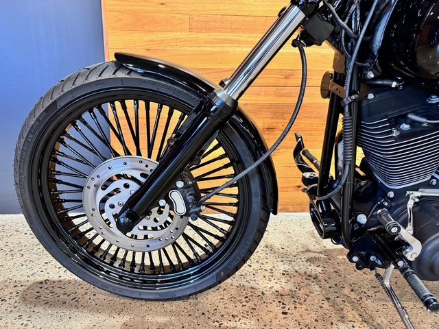 2007 HARLEY-DAVIDSON FXSTB NIGHT TRAIN