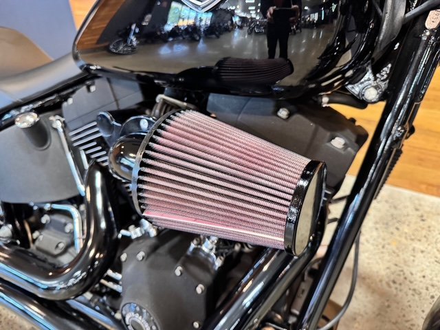 2007 HARLEY-DAVIDSON FXSTB NIGHT TRAIN