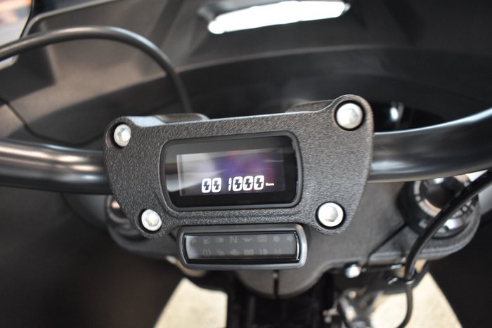 2024 HARLEY-DAVIDSON FXLRST LOW RIDER ST (117)