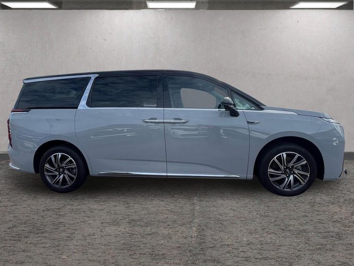 2024 LDV MIFA Executive