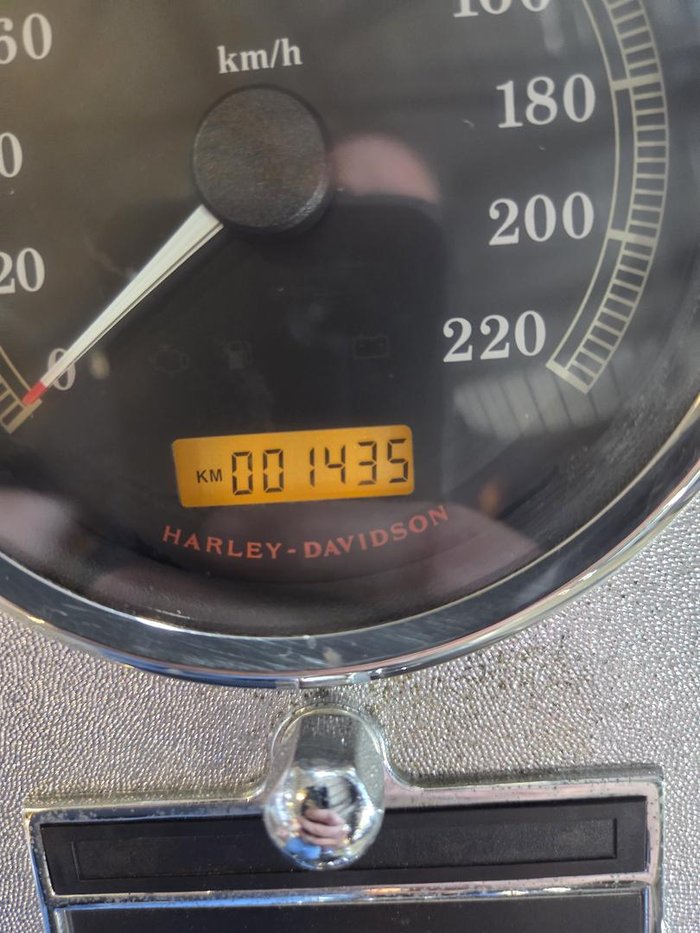 2007 Harley-Davidson Heritage Softail Classic 1584 (FLSTC)