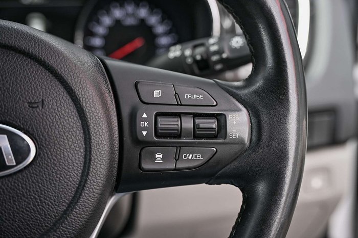 2019 Kia Carnival Platinum