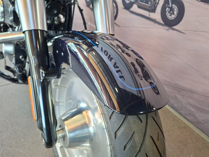 2019 HARLEY-DAVIDSON FLFBS FAT BOY S (114) (SOLID)