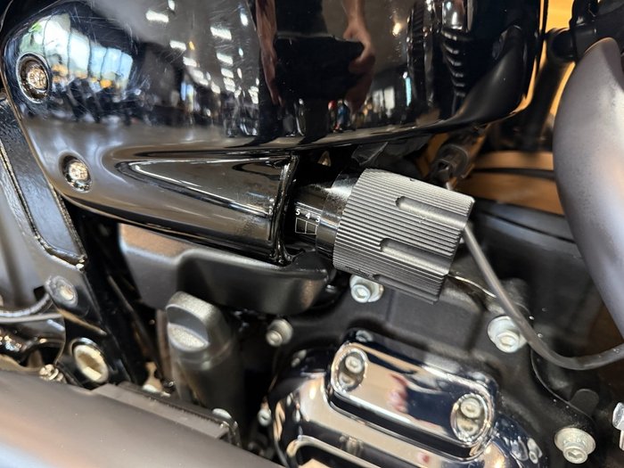 2019 HARLEY-DAVIDSON FXBRS BREAKOUT S (114)