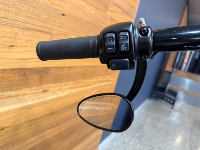 2019 HARLEY-DAVIDSON FXBRS BREAKOUT S (114)