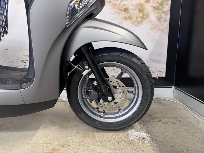 2025 Yamaha D ELIGHT 125 (LTS125-C) Grey