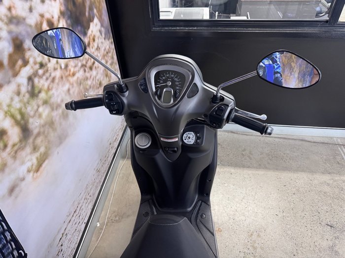 2025 Yamaha D ELIGHT 125 (LTS125-C) Grey