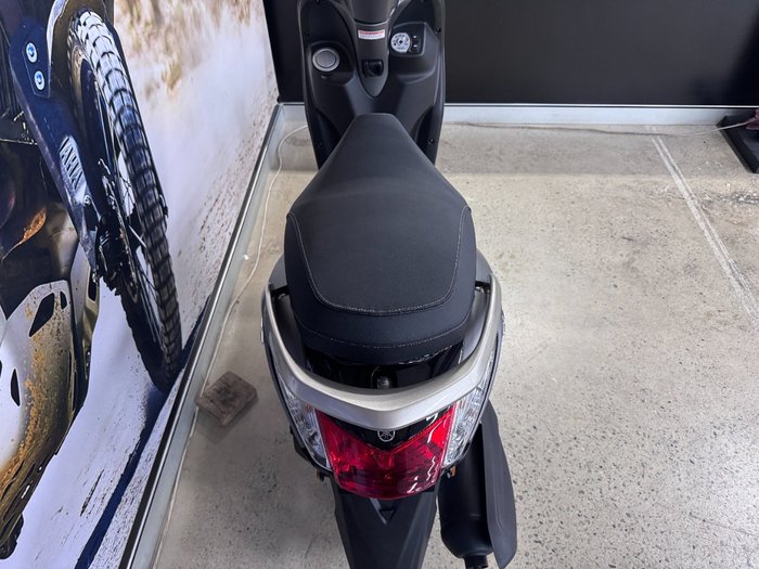 2025 Yamaha D ELIGHT 125 (LTS125-C) Grey