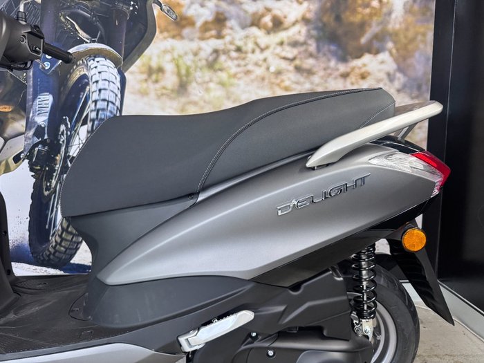 2025 Yamaha D ELIGHT 125 (LTS125-C) Grey