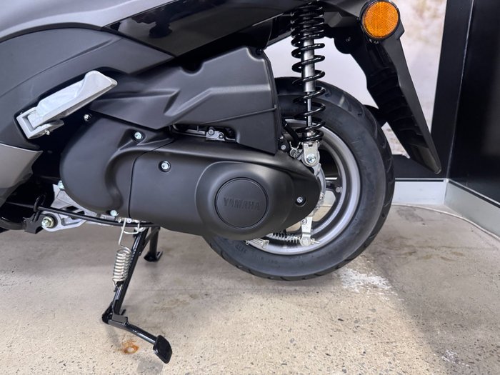 2025 Yamaha D ELIGHT 125 (LTS125-C) Grey