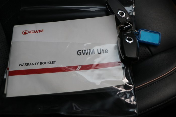 2022 GWM Ute Cannon-X