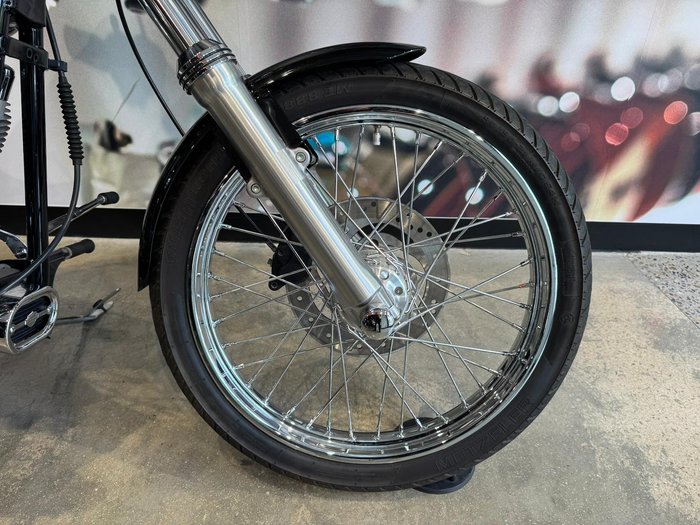 2009 Harley-Davidson Softail Standard 1584 EFI (FXSTI) Softail