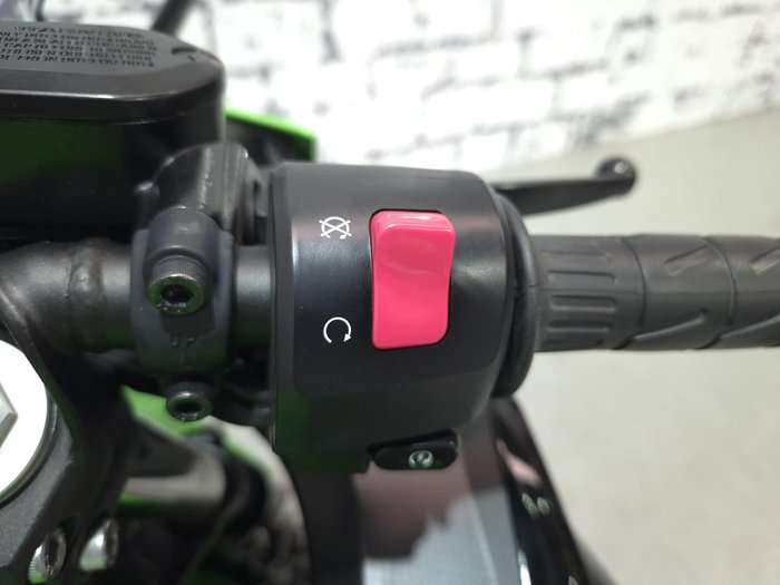 2019 Kawasaki Ninja 400 (EX400G) Ninja Green