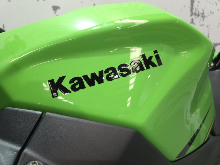 2019 Kawasaki Ninja 400 (EX400G) Ninja Green