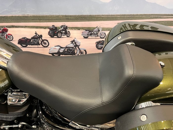 2026 HARLEY-DAVIDSON FXLRST LOW RIDER ST (117)