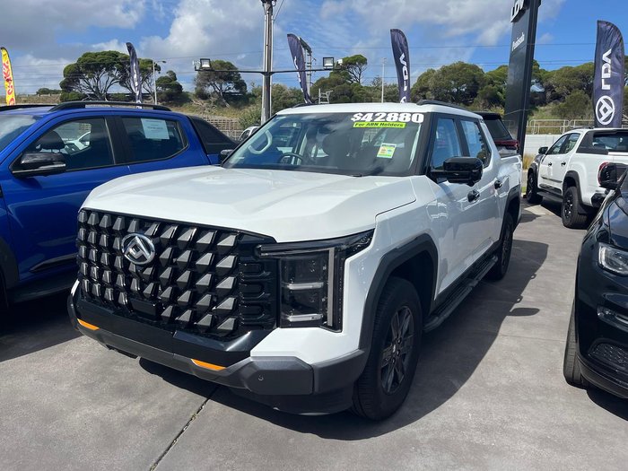 2025 LDV Terron 9