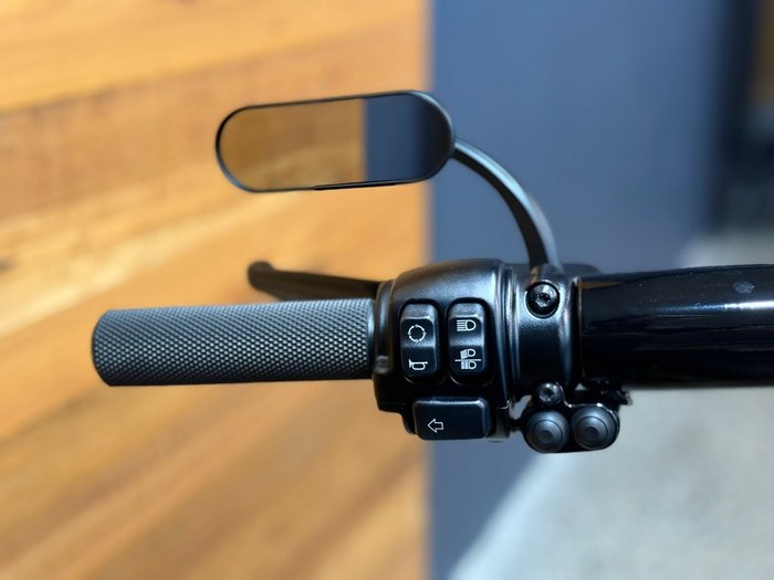 2021 HARLEY-DAVIDSON FXBRS BREAKOUT (114)