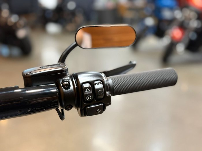 2021 HARLEY-DAVIDSON FXBRS BREAKOUT (114)