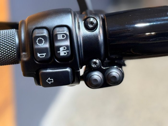 2021 HARLEY-DAVIDSON FXBRS BREAKOUT (114)