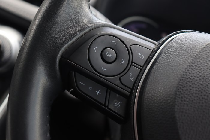 2020 Toyota RAV4 Cruiser