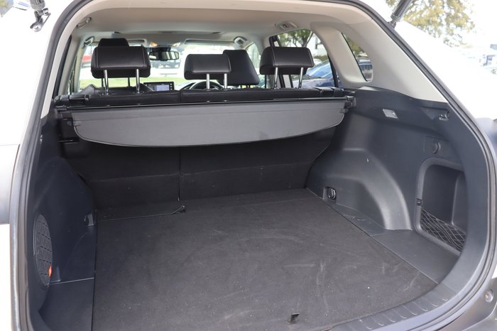 2020 Toyota RAV4 Cruiser