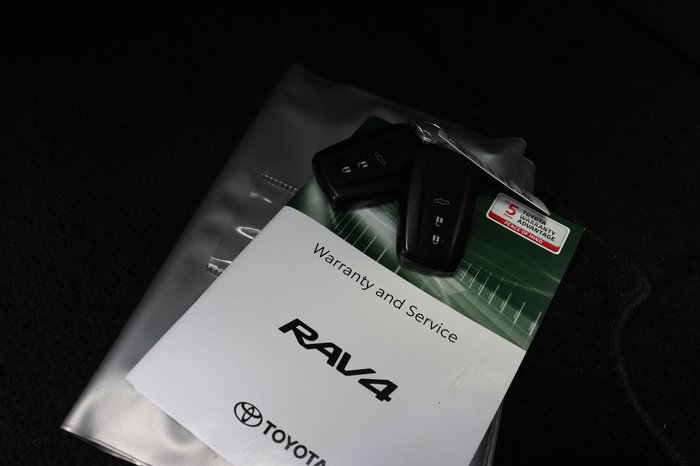 2020 Toyota RAV4 Cruiser