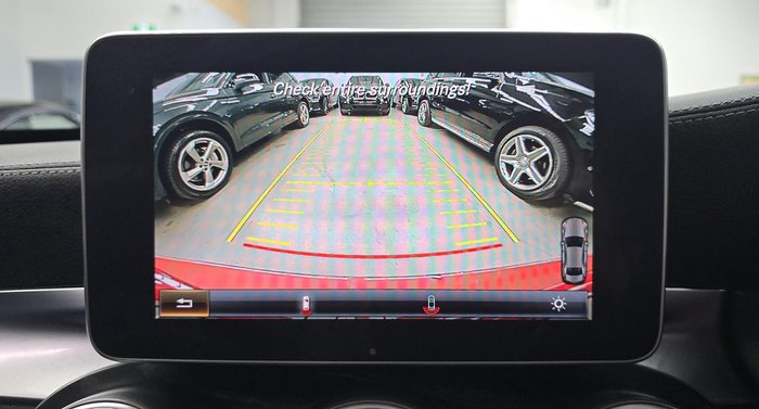 2015 Mercedes-Benz C-Class C250 S205 Hyacinth Red