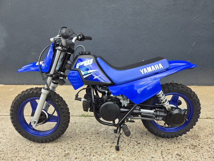2025 Yamaha 2025 Yamaha 50CC PW50 (PEE-WEE) Minibike BLUE