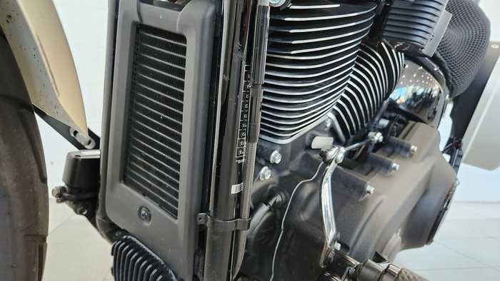 2023 Harley-Davidson Low Rider ST 117 (FXLRST) Softail Beige