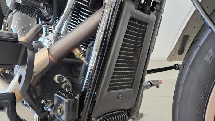 2023 Harley-Davidson Low Rider ST 117 (FXLRST) Softail Beige