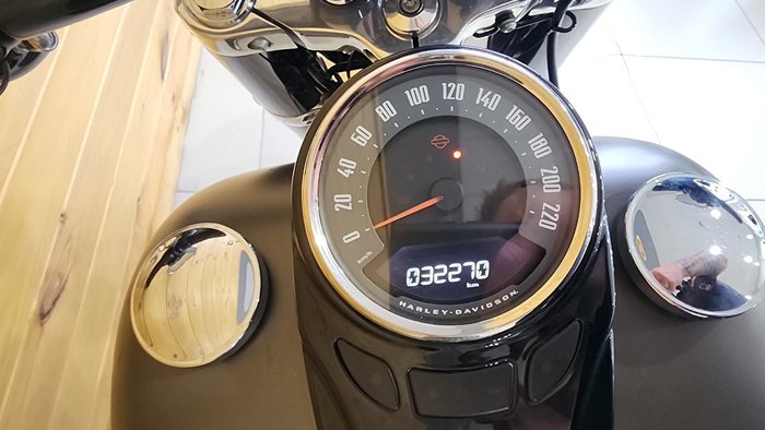 2018 HARLEY-DAVIDSON FLSL SOFTAIL SLIM