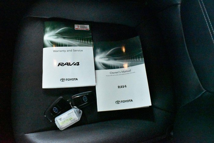 2020 Toyota RAV4 Cruiser