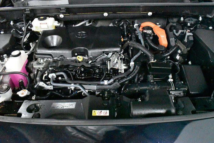 2020 Toyota RAV4 Cruiser