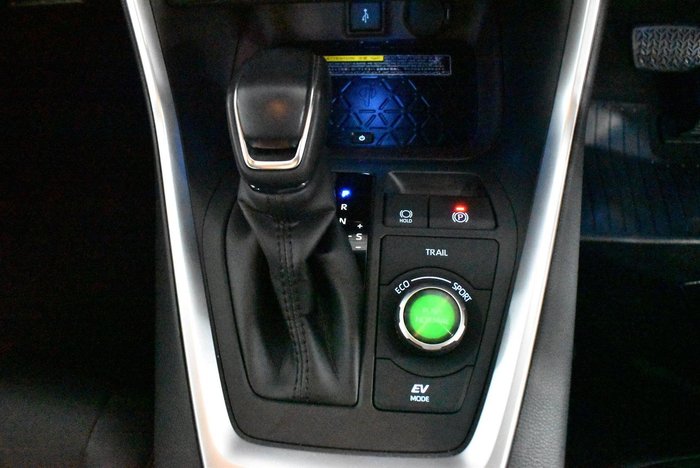 2020 Toyota RAV4 Cruiser