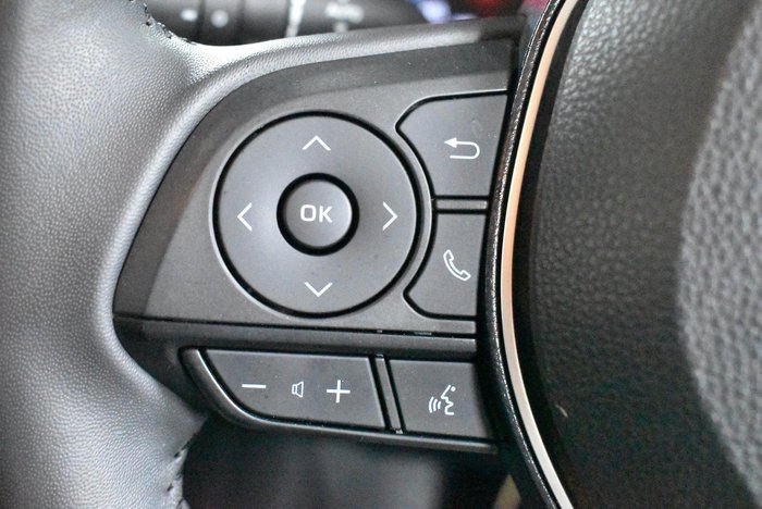 2020 Toyota RAV4 Cruiser