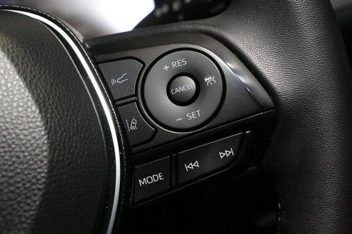 2025 Toyota RAV4 Cruiser