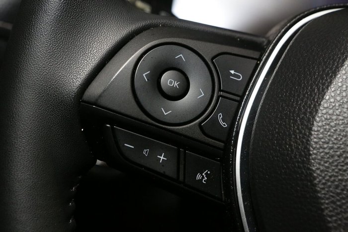 2025 Toyota RAV4 Cruiser