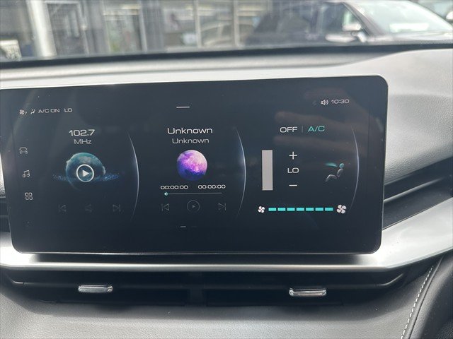 2021 Haval H6 Premium