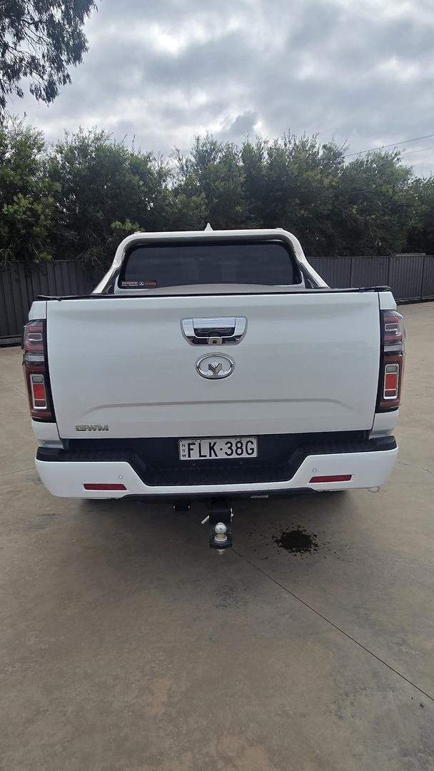 2024 GWM Ute Cannon-X