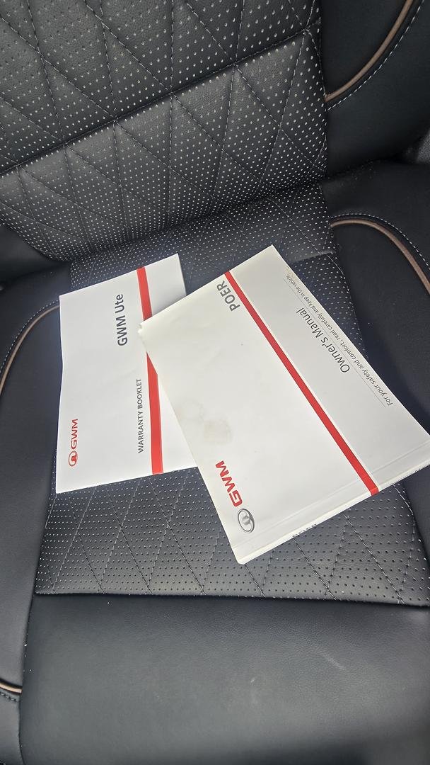 2024 GWM Ute Cannon-X