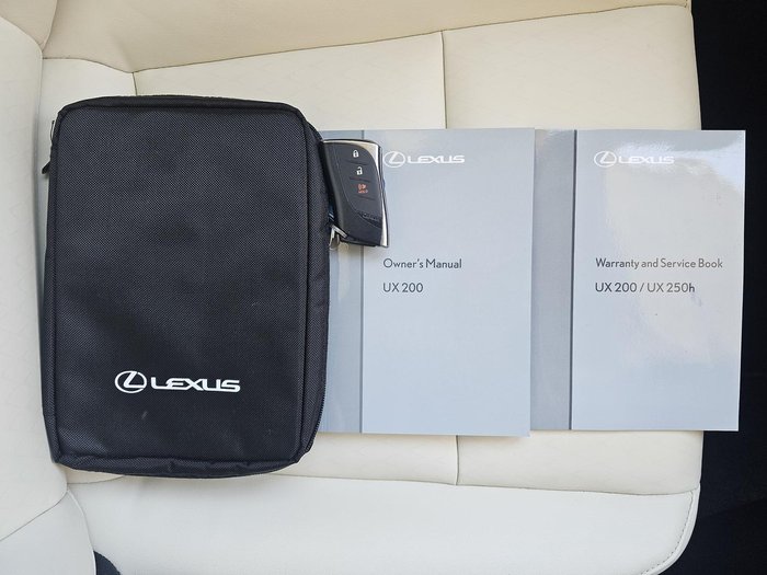 2019 Lexus UX 200 Luxury MZAA10R Mercury Grey