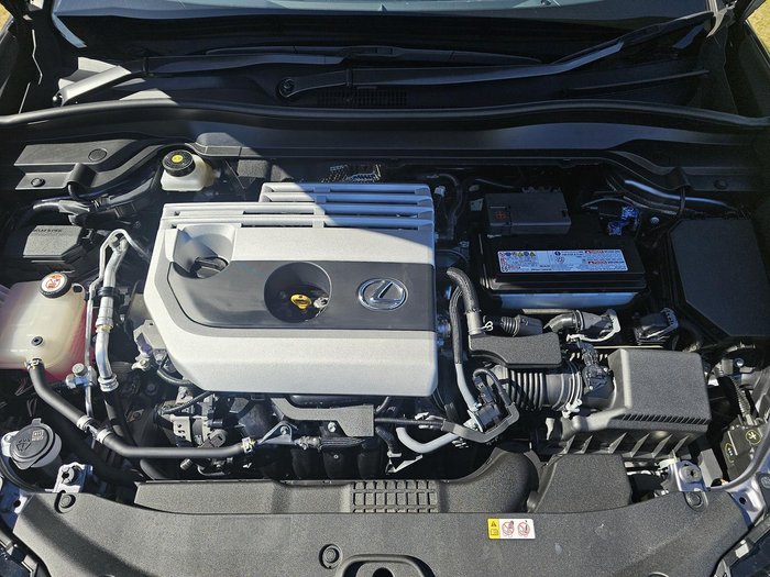 2019 Lexus UX 200 Luxury MZAA10R Mercury Grey