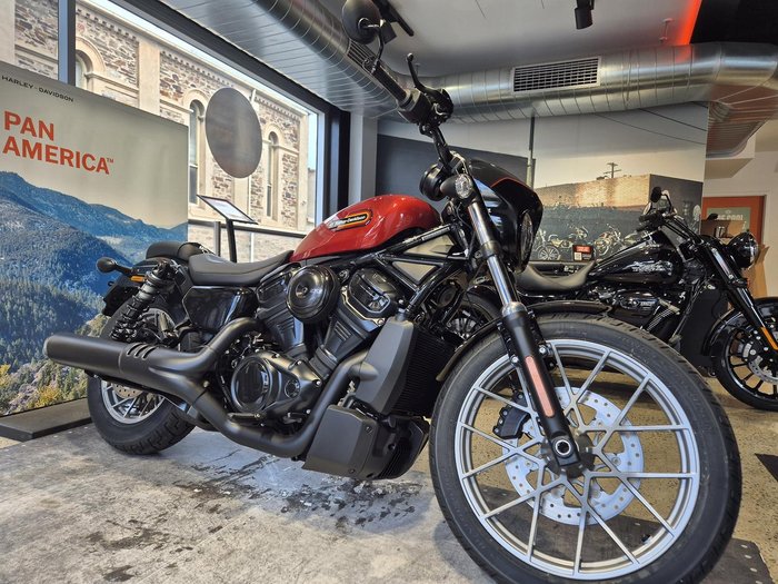 2025 Harley-Davidson Nightster (RH975) Sportster Orange