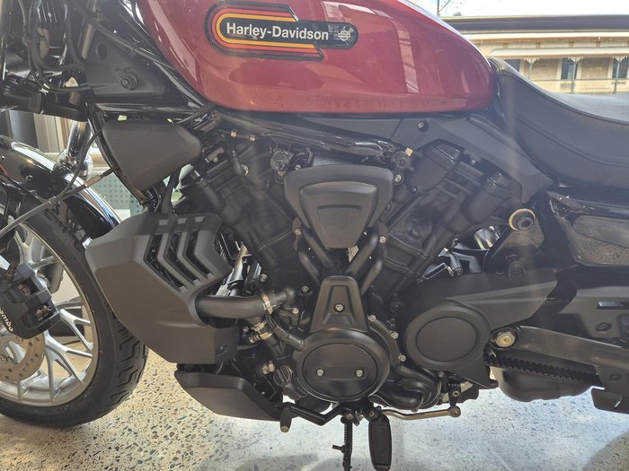 2025 Harley-Davidson Nightster (RH975) Sportster Orange